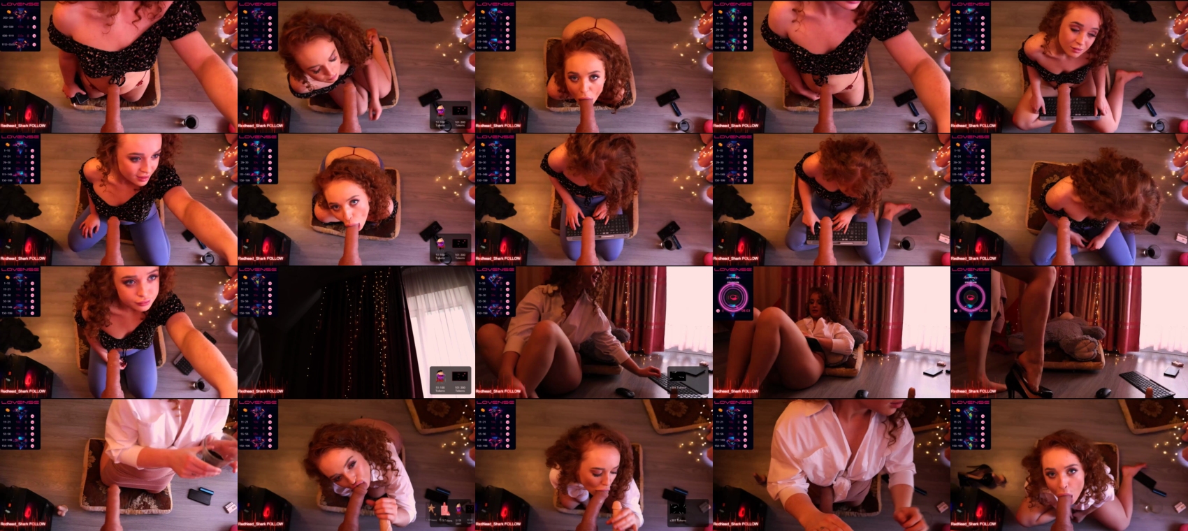 redhead_shark  24-05-2023