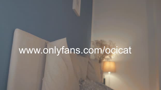 ocicat  28-05-2023