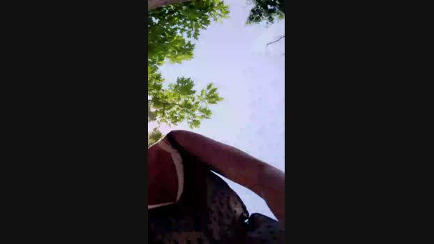 eveangelll  12-07-2023