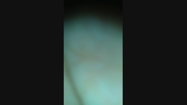 Ray_82  13-07-2023