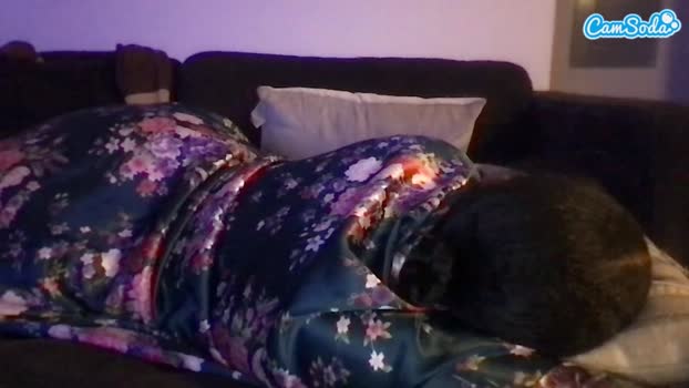 misszylahd CamSoda 03-08-2023