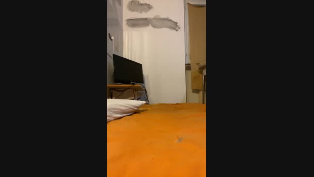 Kittzziky  05-08-2023
