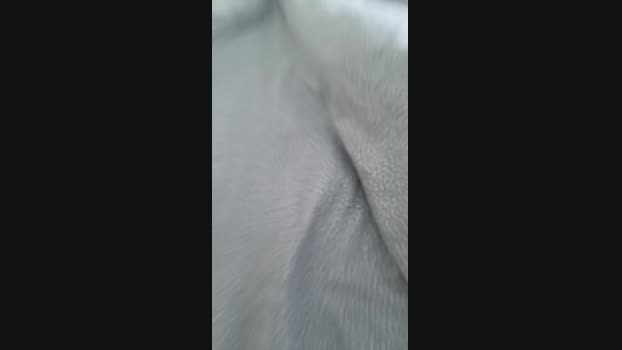 cucciolonicp  07-08-2023