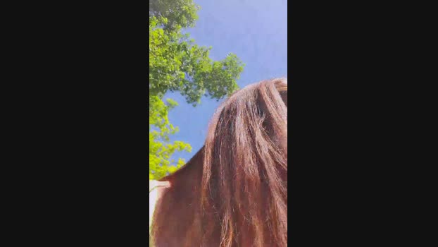eveangelll  07-08-2023