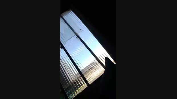 Indiazinhachel  16-08-2023