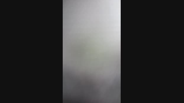 jenna36  26-08-2023