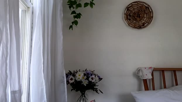 littlegreekflower  28-08-2023