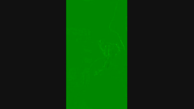 Rosa3000