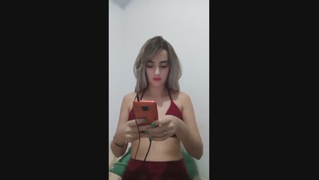 Girassol_  16-09-2023