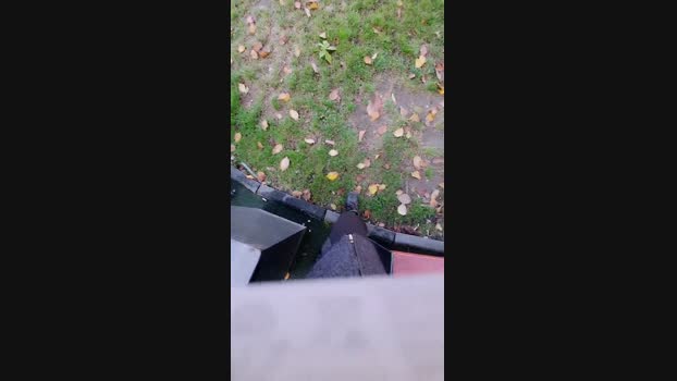 eveangelll  16-10-2023