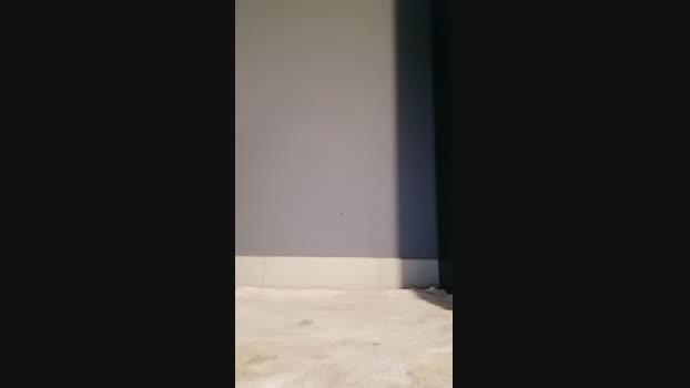 kevin87sexy  19-10-2023