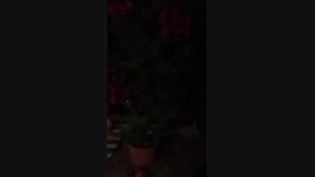 Lucecitafantasy  21-10-2023