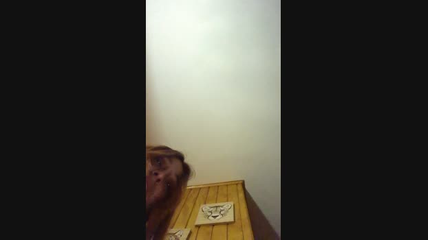 Carolinaalg  26-10-2023