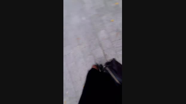 eveangelll  26-10-2023