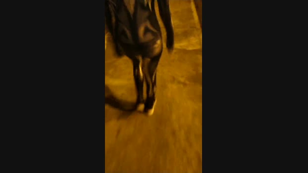 bigwhitebuttxxx  31-10-2023