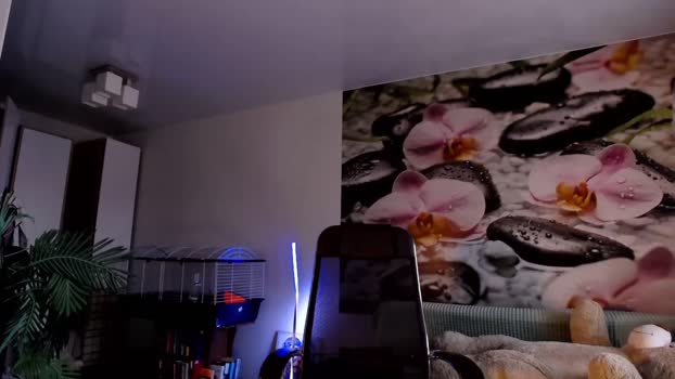 jennycutey  02-11-2023