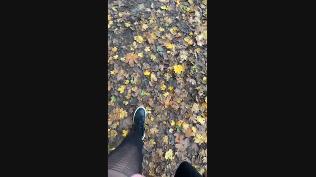 Tanjadutch  09-11-2023