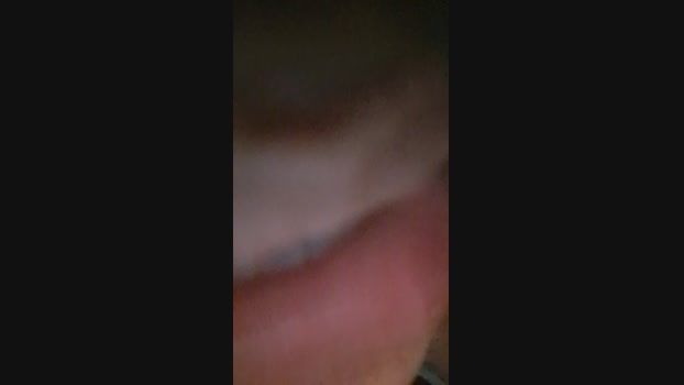 LAMONARCAEXOTIC  18-11-2023