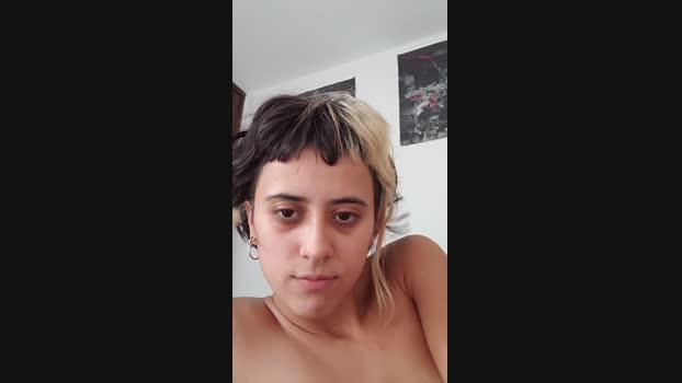 siamessa  17-11-2023