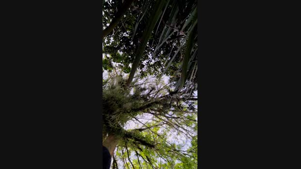 giselxxx_hot  24-11-2023