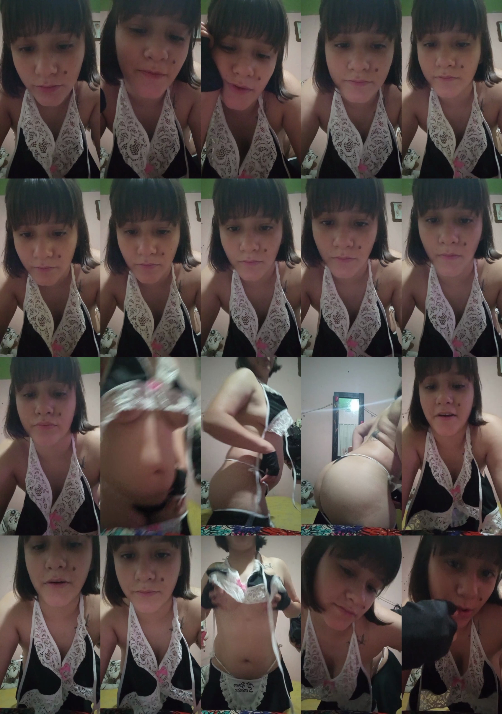 milu08  26-11-2023