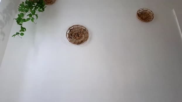 littlegreekflower 02-12-2023