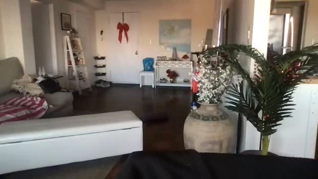bigjoed233 16-12-2023