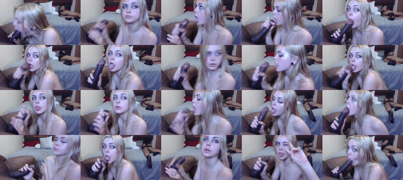 studiowahines 24-12-2023