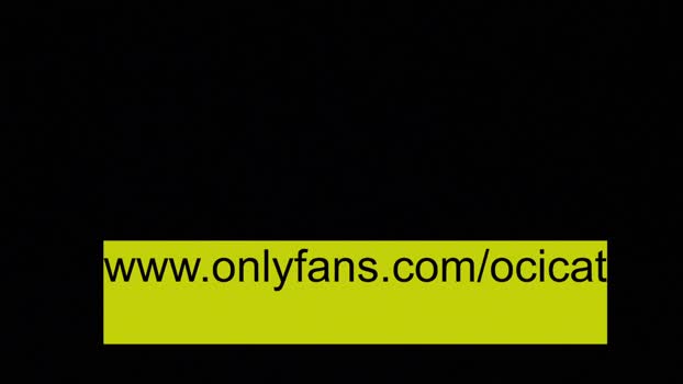 ocicat 31-12-2023