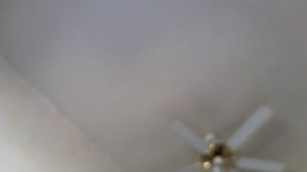 littlegreekflower 25-02-2024