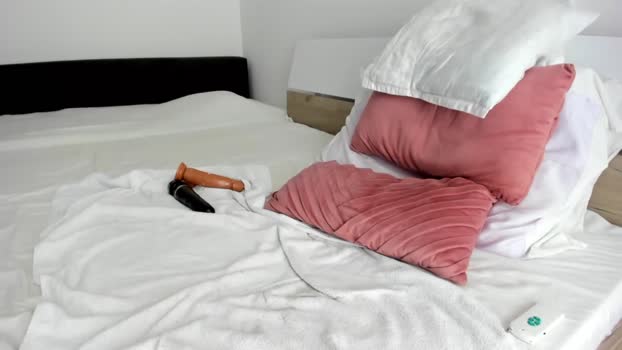 sofiephoenix 01-03-2024