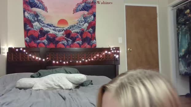 studiowahines Chaturbate 12-03-2024 Couples