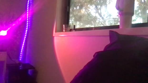 luvlivvyy Chaturbate 03-06-2024 Females