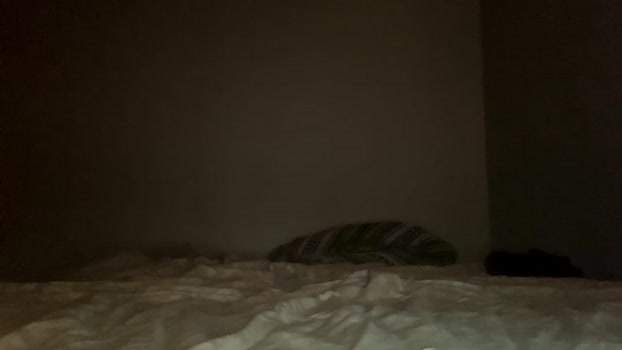 penutbuttajelllytime Chaturbate 07-06-2024 Couples