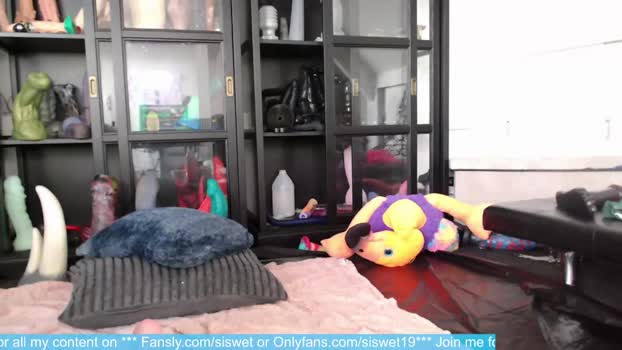 siswet19 Chaturbate 17-06-2024 Females