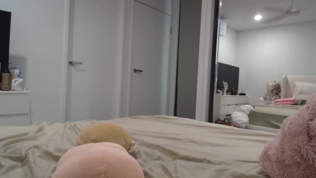 avabrooks Chaturbate 05-09-2024 Females