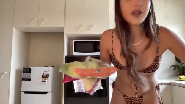 shysashy Chaturbate 13-09-2024 Females