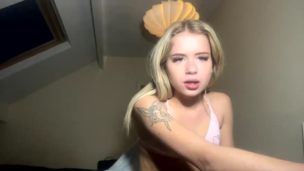 allanarey151 Chaturbate 14-09-2024 Females