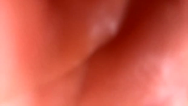naughty_night_owl Chaturbate 23-09-2024 Couples