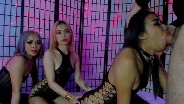 dongfatherproductions Nude Webcam SHOW @ Chaturbate 20-10-2024