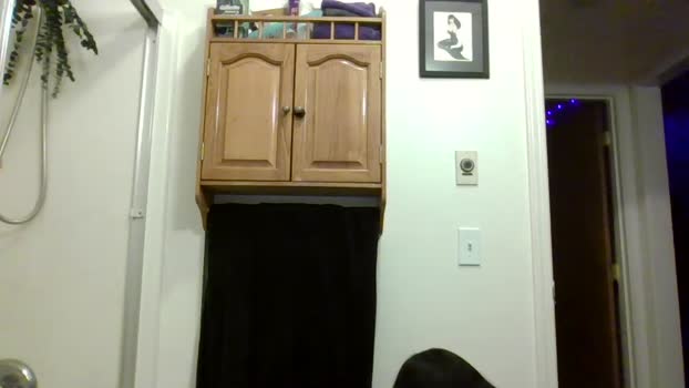livmirage Show Webcam SHOW @ Chaturbate 04-11-2024