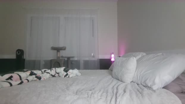 lolariv dirty Webcam SHOW @ Chaturbate 05-11-2024