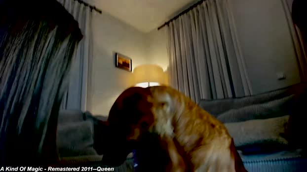 x_lily_x spanking Webcam SHOW @ Chaturbate 17-11-2024