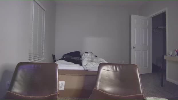 itstarzan show Webcam SHOW @ Chaturbate 20-11-2024