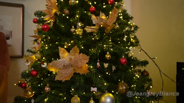 jeangreybianca sex Webcam SHOW @ Chaturbate 28-11-2024