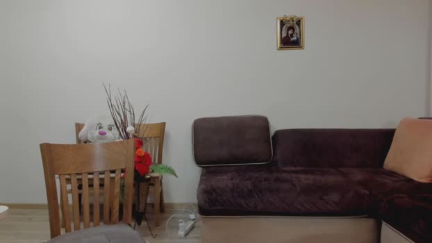 iveto69 show Webcam SHOW @ Chaturbate 03-12-2024
