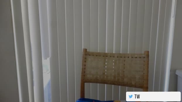 catberg big Webcam SHOW @ Chaturbate 05-12-2024