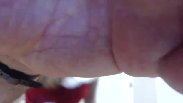 buddiup2 XXX Webcam SHOW @ Chaturbate 08-12-2024