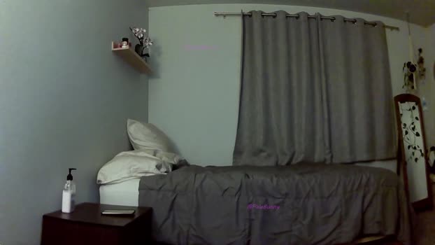 order169 Cam Webcam SHOW @ Chaturbate 17-12-2024