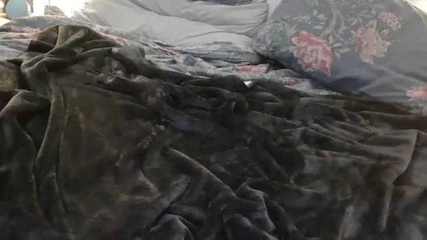sb_couple Porn Webcam SHOW @ Chaturbate 21-12-2024